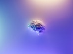 Know how the brain communicates with the spine, through this study.