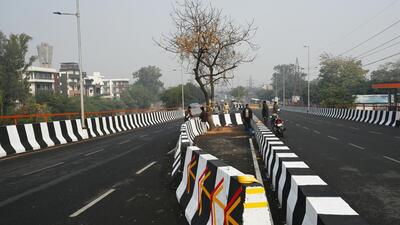 One of the trees on the flyover on Wednesday. (Vipin Kumar/HT Photo) One of the trees on the flyover on Wednesday. (Vipin Kumar/HT Photo)