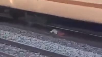 After the video went viral on social media, railway police identified the man as 56-year-old Pavithran, who was described as having a “small stature.” (Screen grab from viral video) (X) After the video went viral on social media, railway police identified the man as 56-year-old Pavithran, who was described as having a “small stature.” (Screen grab from viral video) (X)