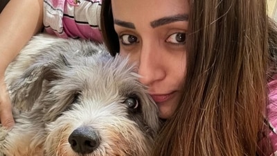 Trisha Krishnan had her pet Zorro for 12 years now. Trisha Krishnan had her pet Zorro for 12 years now.
