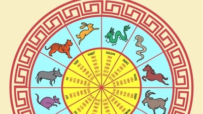 Tiger Chinese Horoscope 2025: Those who can combine assertiveness with diplomacy have the potential for leadership positions. (Freepik) Tiger Chinese Horoscope 2025: Those who can combine assertiveness with diplomacy have the potential for leadership positions. (Freepik)