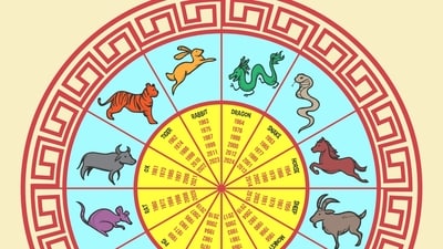 Sheep Chinese Horoscope 2025: This will be a year in which well-calculated moves will produce the best outcomes. (Freepik) Sheep Chinese Horoscope 2025: This will be a year in which well-calculated moves will produce the best outcomes. (Freepik)