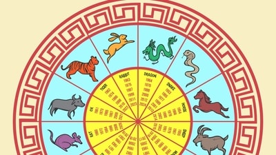 Rooster Chinese Horoscope 2025: This is a year of making new contacts and consolidating relationships. (Freepik) Rooster Chinese Horoscope 2025: This is a year of making new contacts and consolidating relationships. (Freepik)