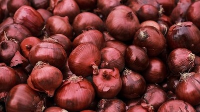 A Delhi man ordered food via Swiggy and begged the restaurant to send extra onions. (Representational) A Delhi man ordered food via Swiggy and begged the restaurant to send extra onions. (Representational)
