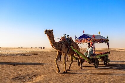 A camel cart ride is must-do at the Rann Utsav. A camel cart ride is must-do at the Rann Utsav.