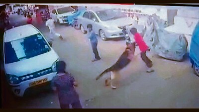 12-year-old mauled by German Shepherd; owner booked