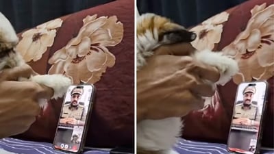 The video began with the "police officer" declaring that he was calling from Andheri East police station in Mumbai. (Instagram/shinny_martina) The video began with the "police officer" declaring that he was calling from Andheri East police station in Mumbai. (Instagram/shinny_martina)