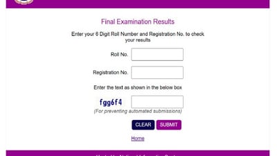 ICAI CA November Final Result 2024 released at icai.nic.in, direct link here ICAI CA November Final Result 2024 released at icai.nic.in, direct link here