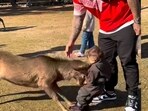 The child did not sustain any injuries. The child did not sustain any injuries.