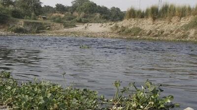 A polluted Najafgarh drain just before it joins the Yamuna. (HT Archive) A polluted Najafgarh drain just before it joins the Yamuna. (HT Archive)