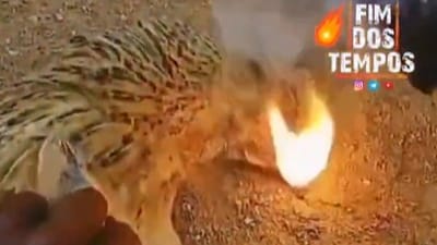 Flames emerge from the mouth of a dead chicken in Karnataka. Flames emerge from the mouth of a dead chicken in Karnataka.