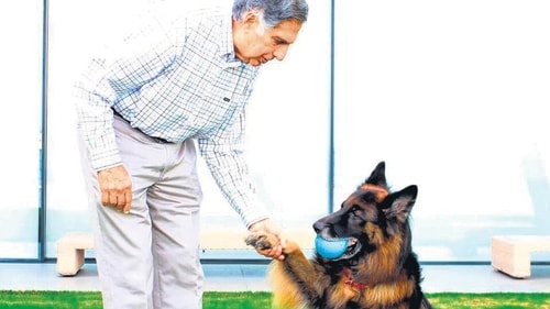 Ratan Tata playing with one of his pet dogs, a German Shepherd named 'Tito'. (Instagram/Ratan Tata) Ratan Tata playing with one of his pet dogs, a German Shepherd named 'Tito'. (Instagram/Ratan Tata)