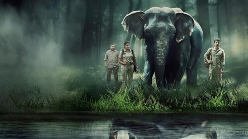 Poacher is streaming on Prime Video. Poacher is streaming on Prime Video.
