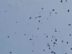 Video of the aeroplane raining cash is making rounds. Video of the aeroplane raining cash is making rounds.