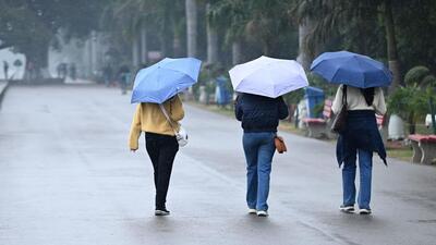 A dense to very dense fog is likely on December 28 and 29, with cold day conditions prevailing over Mohali, Panchkula, and Chandigarh. (RAVI KUMAR/HT)