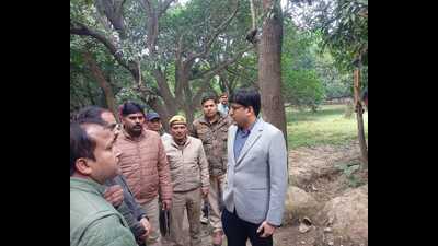 Forest teams in Rehmankheda. (HT) Forest teams in Rehmankheda. (HT)