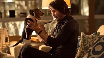 John Wick goes on a rampage after the puppy gifted to him by his late wife is killed. (Lionsgate) John Wick goes on a rampage after the puppy gifted to him by his late wife is killed. (Lionsgate)