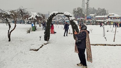 Tourists were also seen roaming and taking pictures in the the snow-covered parks in Srinagar as well (PTI) Tourists were also seen roaming and taking pictures in the the snow-covered parks in Srinagar as well (PTI)