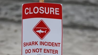 While fishing in the Great Barrier Reef seas of Australia with his family, a 40-year-old man was attacked and murdered by a shark (REUTERS/representational)