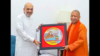 Union Home Minister Amit Shah with Uttar Pradesh chief minister Yogi Adityanath during a meeting, in New Delhi. (PTI)