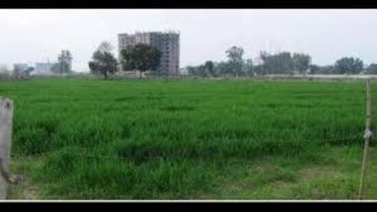 As per sources, over 90,000 acres of panchayat land is still in possession of land mafia in the state.