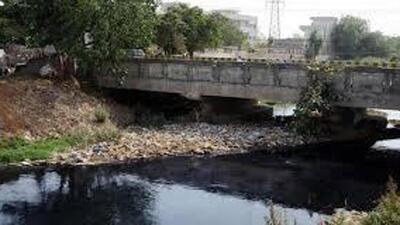 Officials said these dairies were allegedly discharging their waste into the Buddha Nullah unchecked, posing a severe environmental hazard. (HT File)