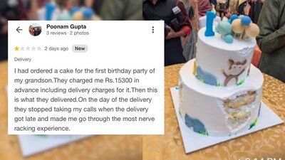 A visual of the Jungle Safari-themed cake that whipped the icing for the debacle. (Inset) A grab from Gurugrammer Poonam Gupta's review of the cake. A visual of the Jungle Safari-themed cake that whipped the icing for the debacle. (Inset) A grab from Gurugrammer Poonam Gupta's review of the cake.