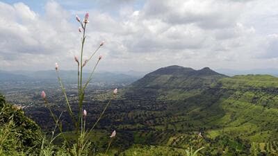 MSRDC has received nearly 900 responses since publishing the development plan for New Mahabaleshwar Project and it includes only 10% objections. ((PIC FOR REPRESENTATION)) MSRDC has received nearly 900 responses since publishing the development plan for New Mahabaleshwar Project and it includes only 10% objections. ((PIC FOR REPRESENTATION))