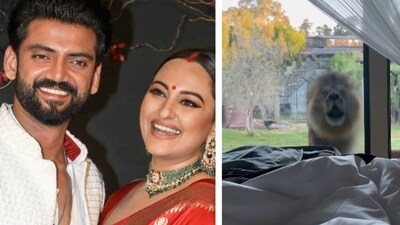 Zaheer Iqbal and Sonakshi Sinha's roaring alarm on Australia vacation. Zaheer Iqbal and Sonakshi Sinha's roaring alarm on Australia vacation.