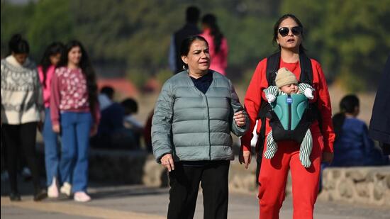 Visibility remained just 50 metres in Chandigarh at 5.30 am, which is considered as very dense fog. It had improved to 300 metres at 8.30 am, which is considered as moderate fog, as per the IMD. (HT File)