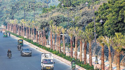 DPCC in a project report stated that the tunnel will decongest Mahipalpur and its surrounding areas. (HT Photo) DPCC in a project report stated that the tunnel will decongest Mahipalpur and its surrounding areas. (HT Photo)