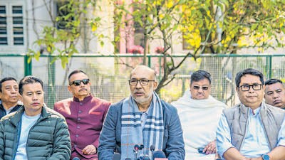 Manipur CM N Biren Singh addresses a press conference in Imphal on Tuesday. (PTI) Manipur CM N Biren Singh addresses a press conference in Imphal on Tuesday. (PTI)