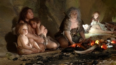 The new Neanderthal Museum features an exhibit on the life of a Neanderthal family in a cave. Based on genetic data, recent studies pinpoint the timeline of interbreeding between humans and Neanderthals. (Representational image/ Reuters)