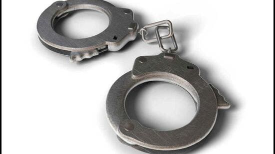 The order was passed on Tuesday by vacation judge Neeraj Sharma in a bail application moved by Tarun, an accused in a road rage case in north Delhi’s Wazirabad. (File Photo)