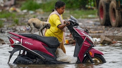  Chennai: A woman drags a scooty with a puppy sitting on it on a waterlogged road amid rains, in Chennai, Oct. 16, 2024. (PTI/R Senthilkumar) Chennai: A woman drags a scooty with a puppy sitting on it on a waterlogged road amid rains, in Chennai, Oct. 16, 2024. (PTI/R Senthilkumar)