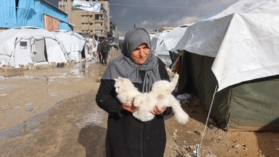 A Palestinian woman carries her cat outside her tent at a makeshift camp for displaced Palestinians, during a storm in Gaza City on December 31, 2024. (AFP/Omar Al Qattaa)