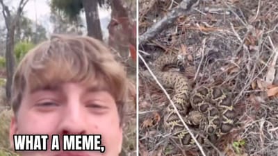 After realising that his life was at risk, influencer David Humplett chose to compliment the snake that attacked him. (X/@CollinRugg) After realising that his life was at risk, influencer David Humplett chose to compliment the snake that attacked him. (X/@CollinRugg)