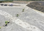 Work underway as five extensive trackways that formed part of a “dinosaur highway” are uncovered, at Dewars Farm Quarry in Oxfordshire, England. Work underway as five extensive trackways that formed part of a “dinosaur highway” are uncovered, at Dewars Farm Quarry in Oxfordshire, England.