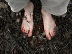 The study observed how soil bacteria can carry antibiotic resistance genes (ARGs), microscopic instructions that can allow bacteria to survive through antibiotics. The study observed how soil bacteria can carry antibiotic resistance genes (ARGs), microscopic instructions that can allow bacteria to survive through antibiotics.