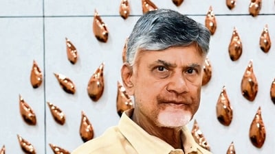 Naidu cited legal complexities surrounding the 7,000-megawatt solar power contract signed with the Solar Energy Corporation of India (SECI) during YS Jagan Mohan Reddy’s tenure. (PTI) Naidu cited legal complexities surrounding the 7,000-megawatt solar power contract signed with the Solar Energy Corporation of India (SECI) during YS Jagan Mohan Reddy’s tenure. (PTI)