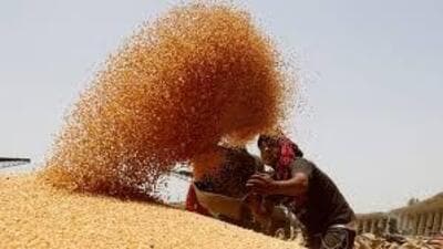 Recently, in its report on demand for grants (2024-25) tabled in the just-concluded Parliament session, the standing committee on agriculture, animal husbandry and food processing has backed the idea of legally guaranteed minimum support prices (MSP) for farm produce, calling it “essential”. Recently, in its report on demand for grants (2024-25) tabled in the just-concluded Parliament session, the standing committee on agriculture, animal husbandry and food processing has backed the idea of legally guaranteed minimum support prices (MSP) for farm produce, calling it “essential”.