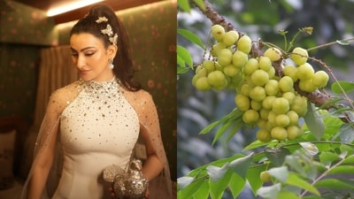 Shalini Passi's homemade shampoo recipe will help you tackle your greys and promote hair growth Shalini Passi's homemade shampoo recipe will help you tackle your greys and promote hair growth