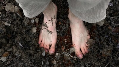 The study observed how soil bacteria can carry antibiotic resistance genes (ARGs), microscopic instructions that can allow bacteria to survive through antibiotics. (Pexels) The study observed how soil bacteria can carry antibiotic resistance genes (ARGs), microscopic instructions that can allow bacteria to survive through antibiotics. (Pexels)