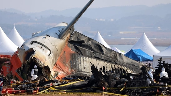 The South Korean plane crash led to the death of 179 people (AFP)