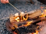 Live-fire cooking and concept-based pop-ups will captivate the diners 