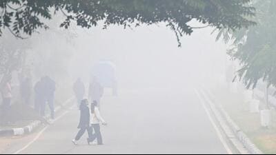 People on a Chandigarh road on a foggy Friday morning.Ten flights were delayed at Chandigarh airport in the morning due to dense fog amid cold wave conditions.  (Ravi Kumar/HT)