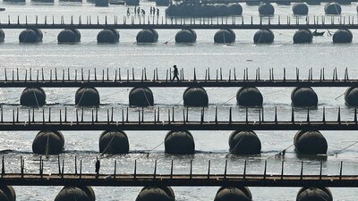 People walk over a floating pontoon bridge across the Ganga. (AFP)