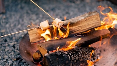 Live-fire cooking and concept-based pop-ups will captivate the diners Live-fire cooking and concept-based pop-ups will captivate the diners