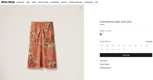 The skirt is worth  ₹5.40 lakh.