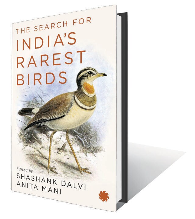 280pp, ₹499; Indian Pitta (Ornithologists, naturalists and birdwatchers comb the jungles and grasslands of India to track down the rarest birds of the subcontinent) 280pp, ₹499; Indian Pitta (Ornithologists, naturalists and birdwatchers comb the jungles and grasslands of India to track down the rarest birds of the subcontinent)
